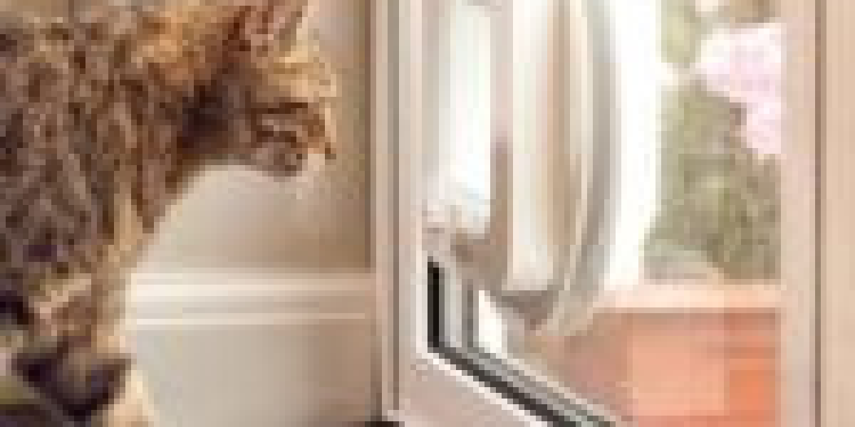 10 Facts About Cat Door Placement That Will Instantly Set You In A Positive Mood