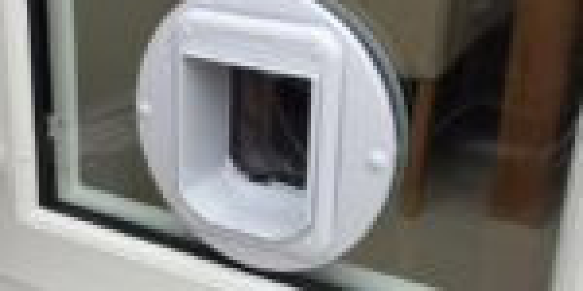 An Adventure Back In Time A Conversation With People About Outdoor Cat Door Installer 20 Years Ago