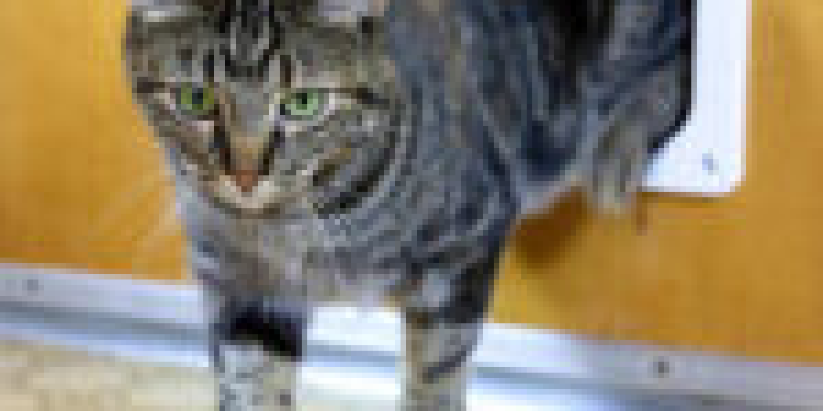 This Week's Most Popular Stories Concerning Cat Flap Installation Quote