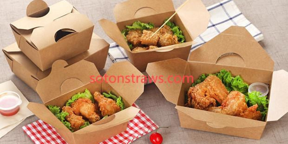 Soton’s Waste-Neutral Vision for Modern Disposable Kraft Box
