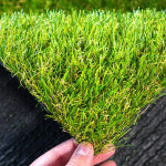 Daniel Kerr Profile Picture